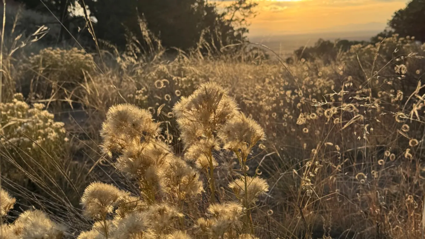 Colorado mountains at golden hour