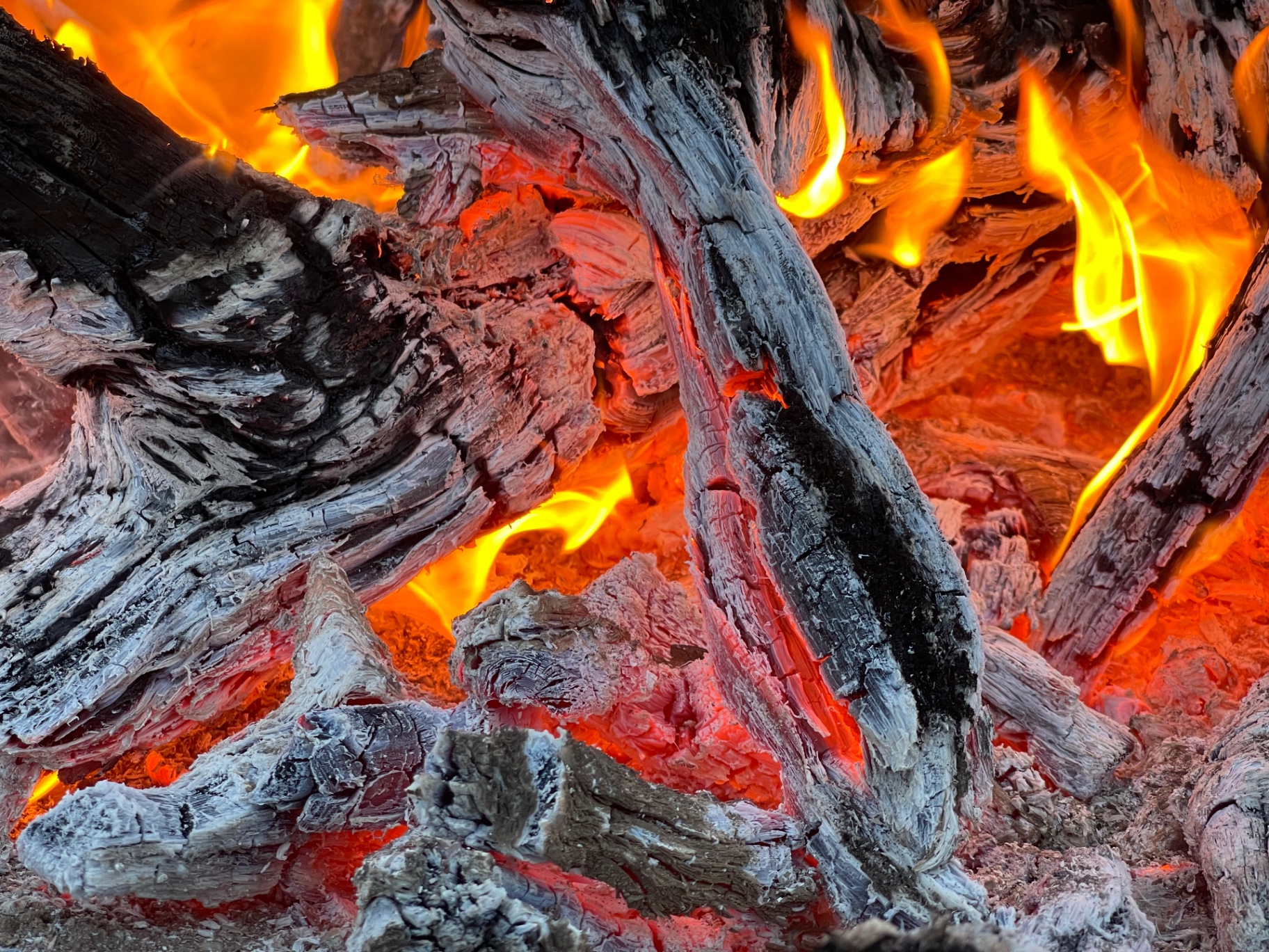Close-up of glowing campfire embers and flame