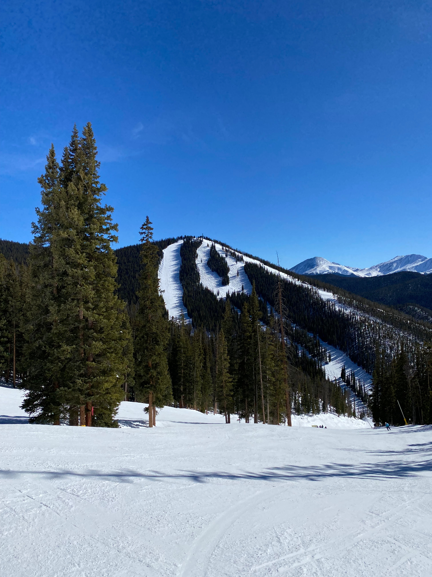 Colorado ski run framed by evergreens and alpine peaks