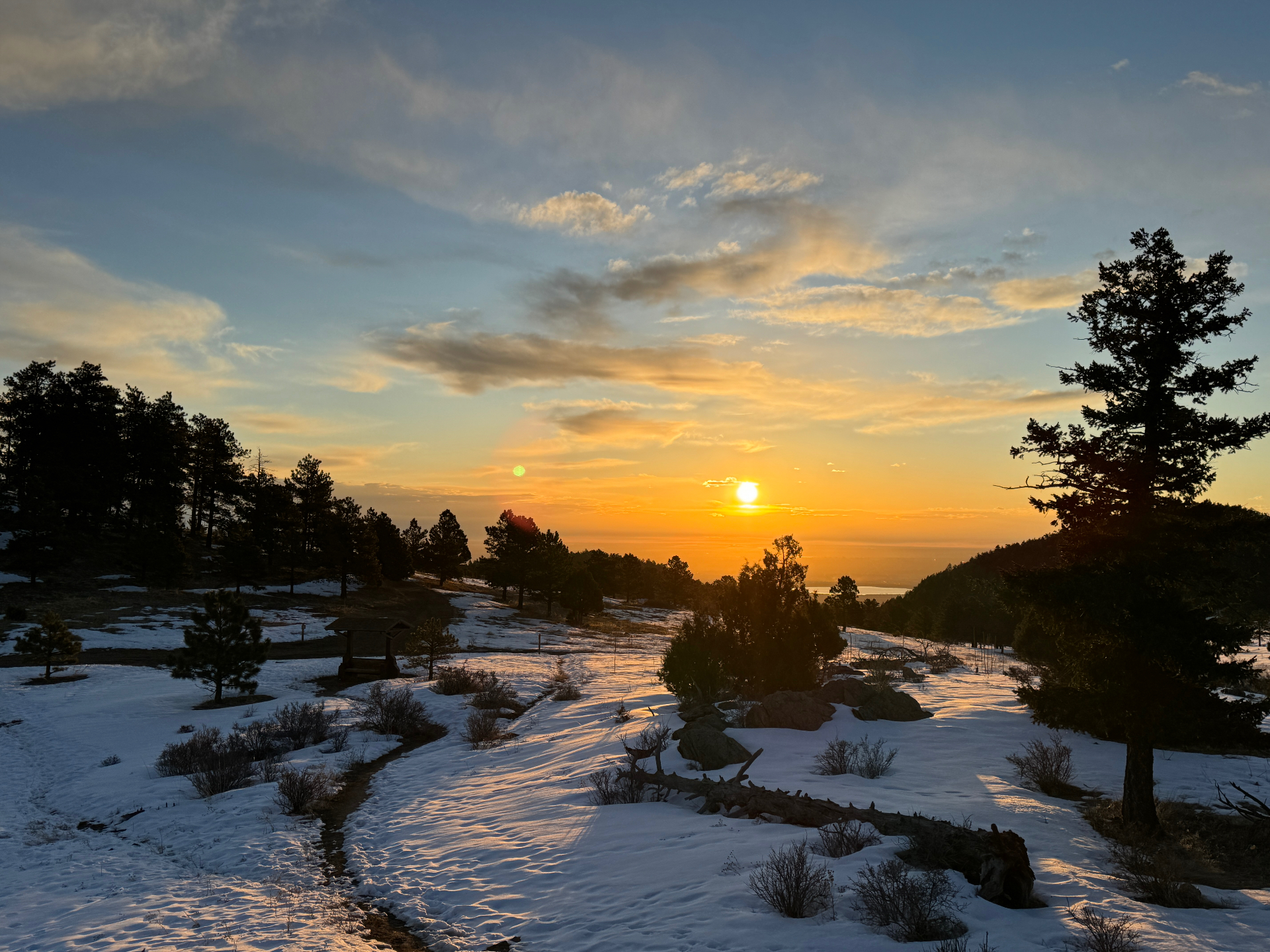Snowy ridge at golden hour with pines and long winter shadows